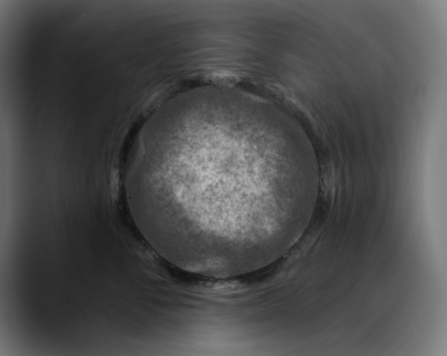 X0000089700716200707121354