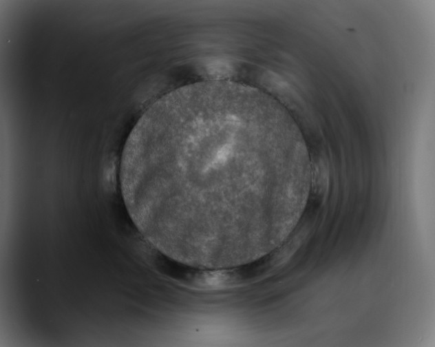 X0000089700717200707121354