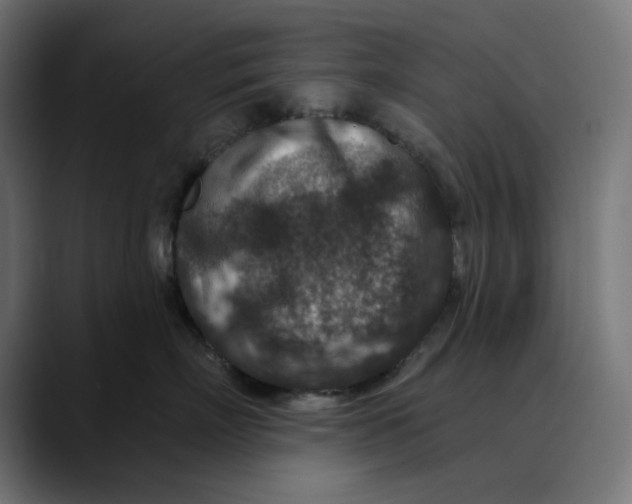 X0000089700718200707121354