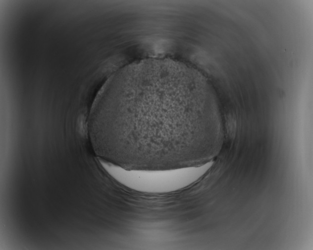 X0000089700719200707121354