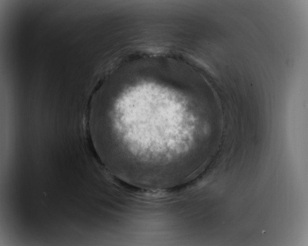 X0000089700720200707121354