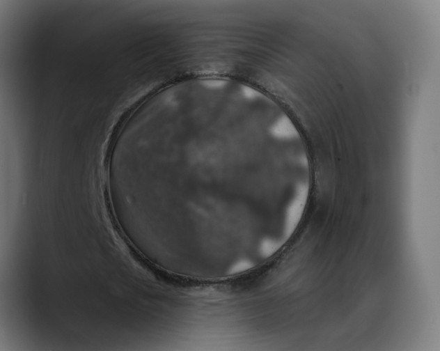 X0000089700721200707121353