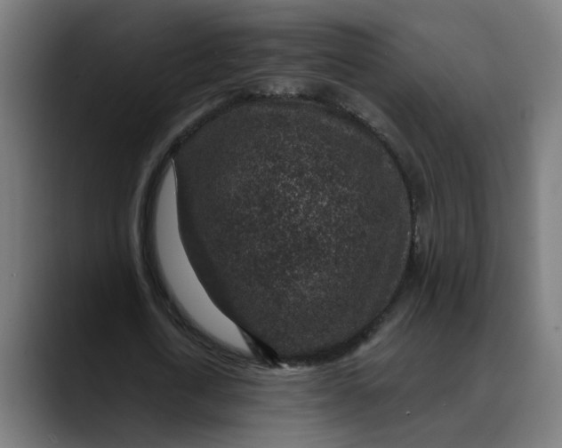 X0000089700722200707121353