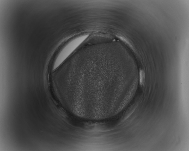 X0000089700723200707121353