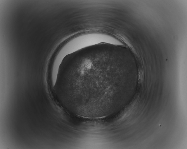 X0000089700724200707121353