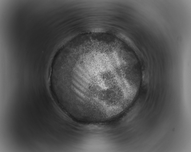 X0000089700725200707121353