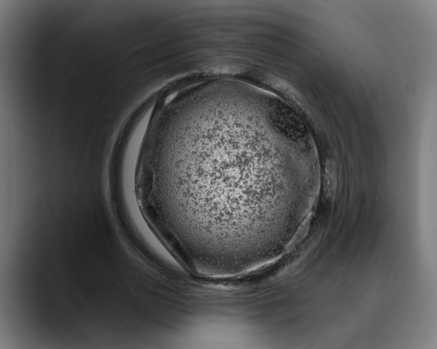 X0000089700726200707121353