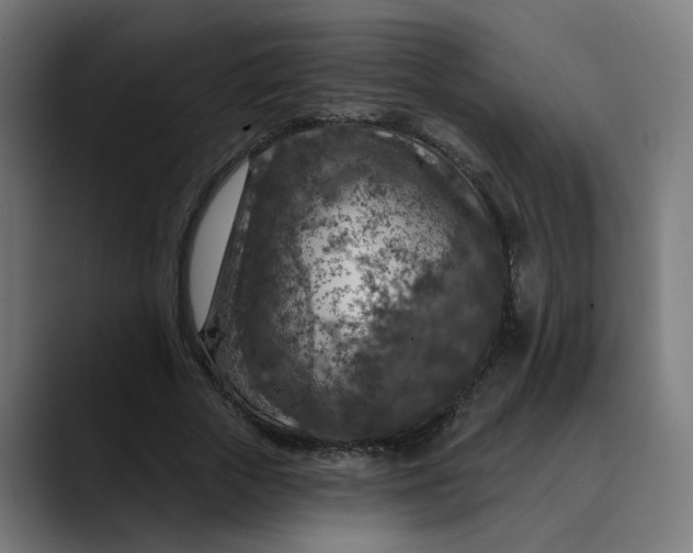 X0000089700729200707121353