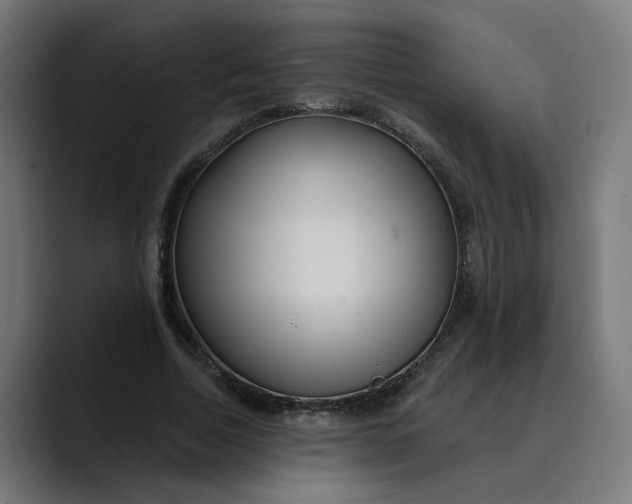 X0000089700730200707121353