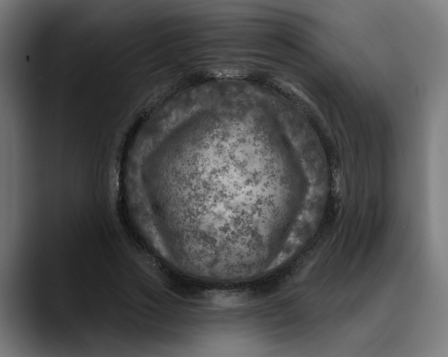 X0000089700733200707121353