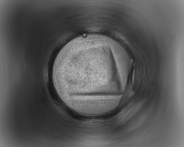 X0000089700734200707121353