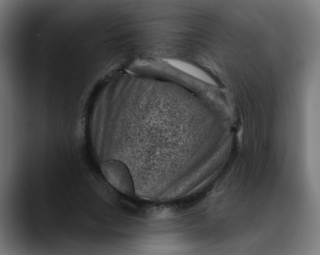 X0000089700735200707121353