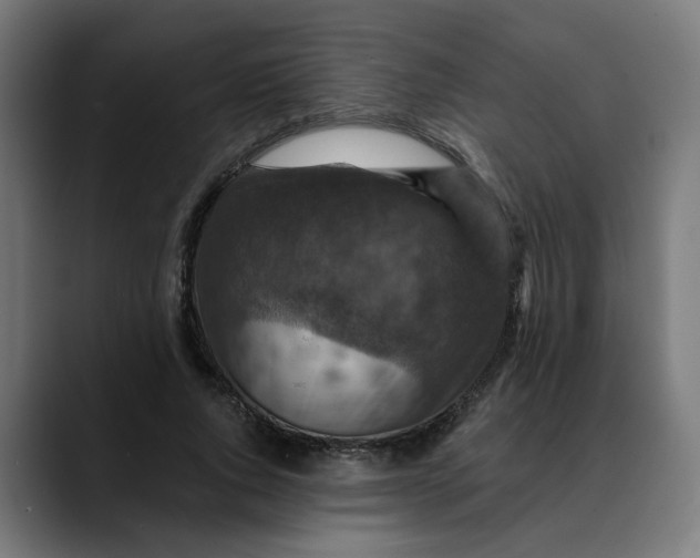 X0000089700736200707121353