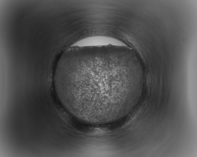 X0000089700737200707121353