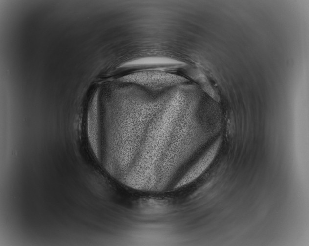 X0000089700739200707121353