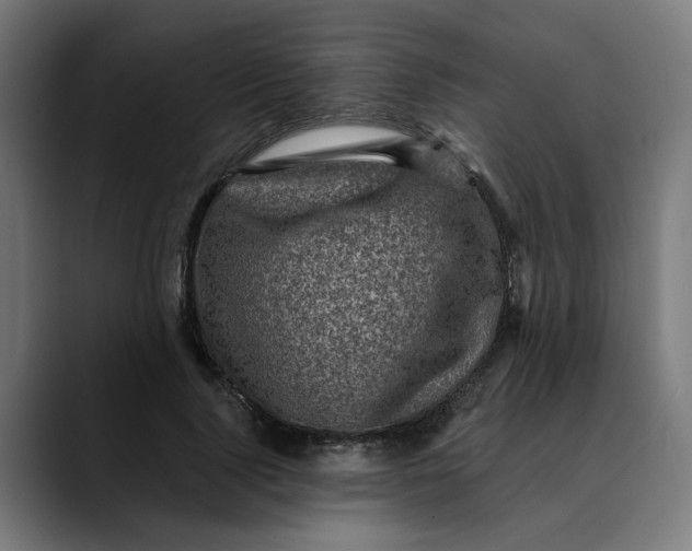 X0000089700740200707121353