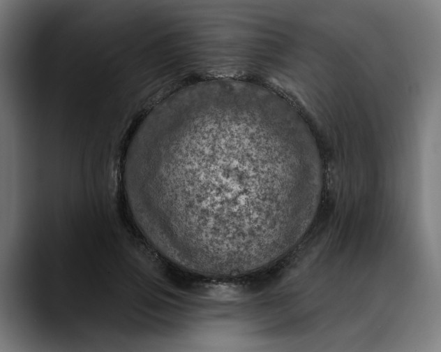 X0000089700741200707121353