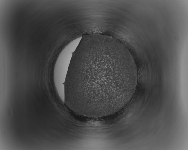 X0000089700742200707121353