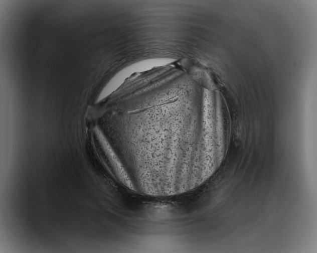 X0000089700743200707121353