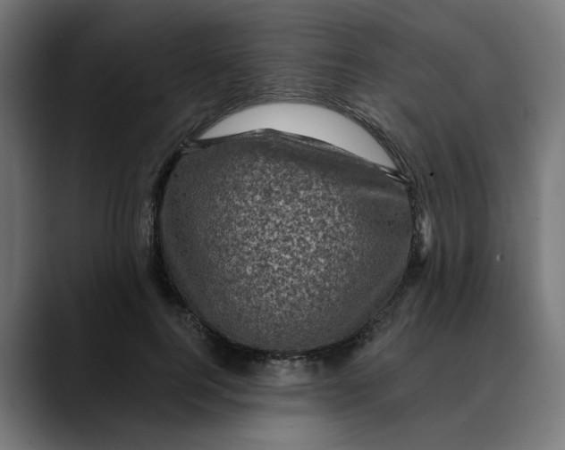 X0000089700744200707121354