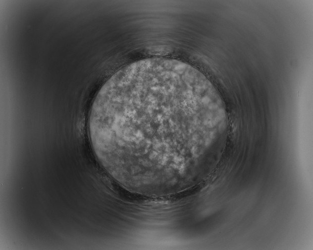 X0000089700745200707121354