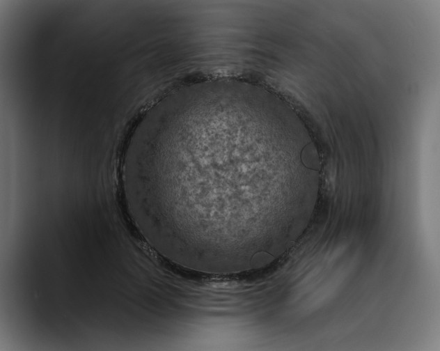 X0000089700746200707121354