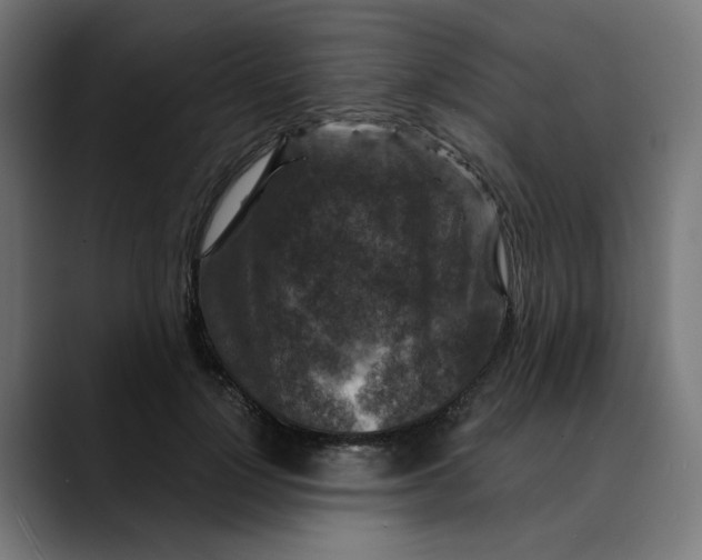 X0000089700748200707121354