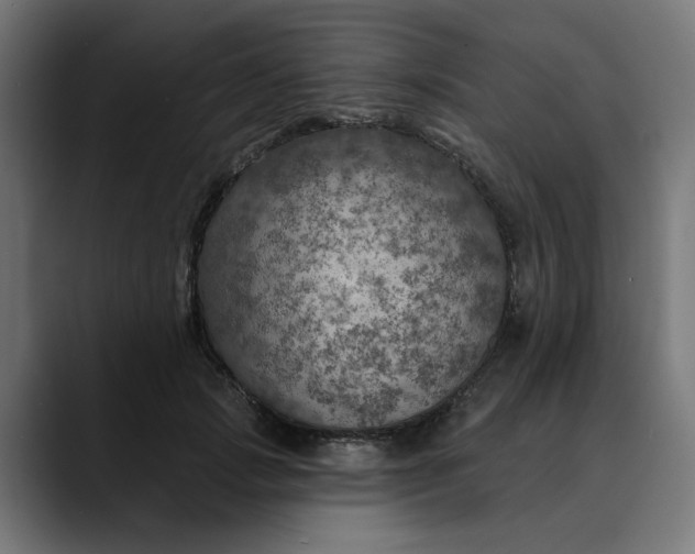 X0000089700749200707121354