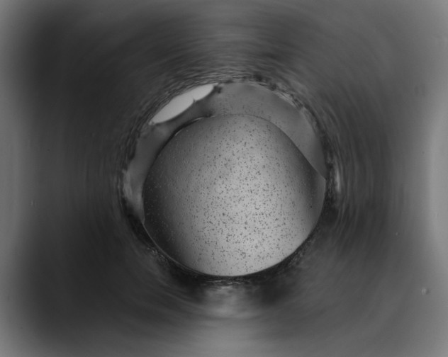 X0000089700750200707121354