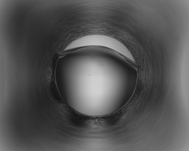 X0000089700752200707121354