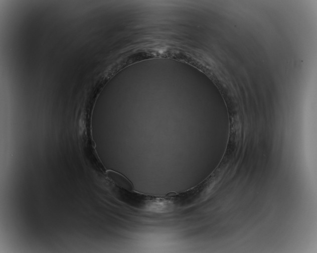 X0000089700754200707121354