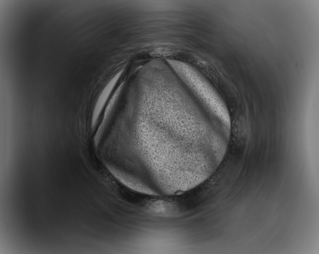 X0000089700755200707121354