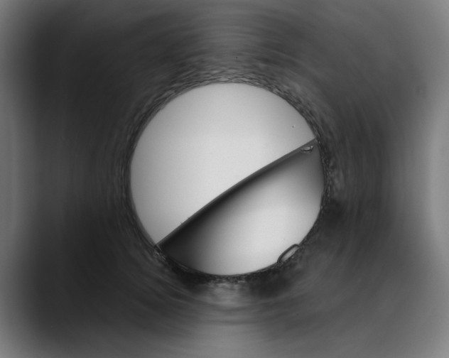 X0000089700756200707121354