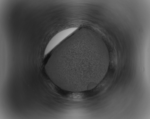 X0000089700758200707121354