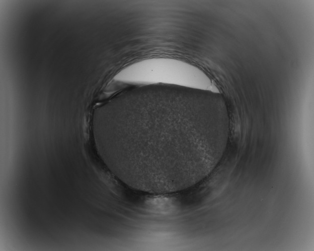 X0000089700759200707121354