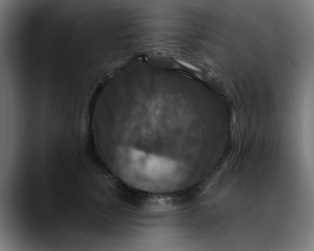 X0000089700760200707121354