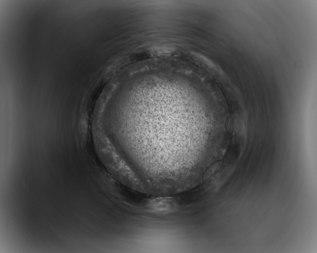 X0000089700761200707121354