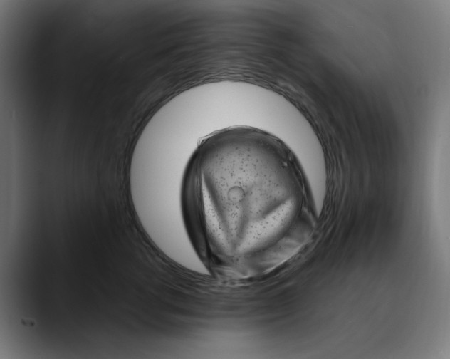 X0000089700762200707121354