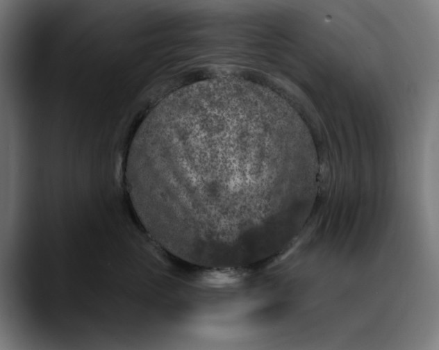 X0000089700765200707121354