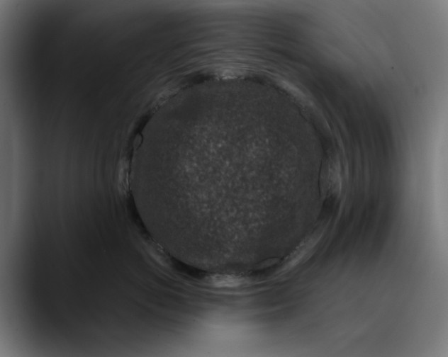 X0000089700766200707121354