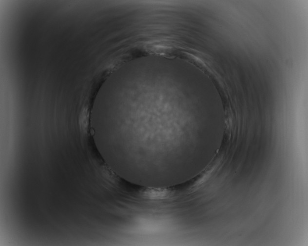 X0000089700767200707121354