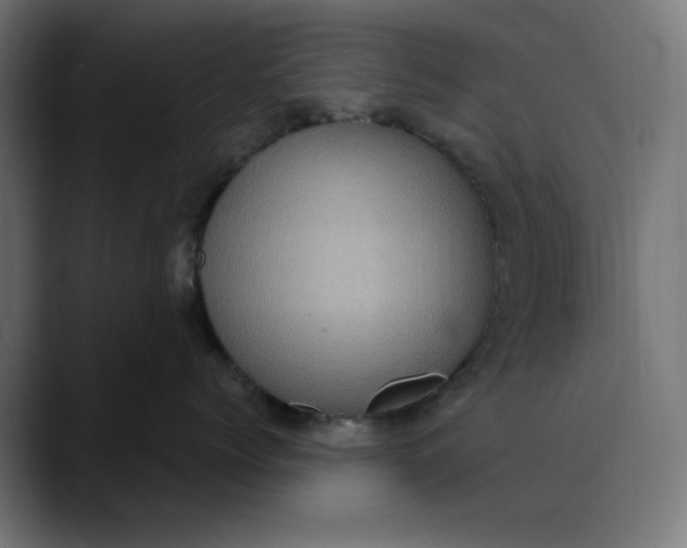 X0000089700768200707121354