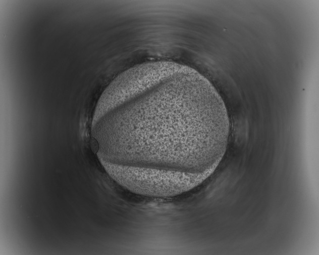 X0000089700770200707121353