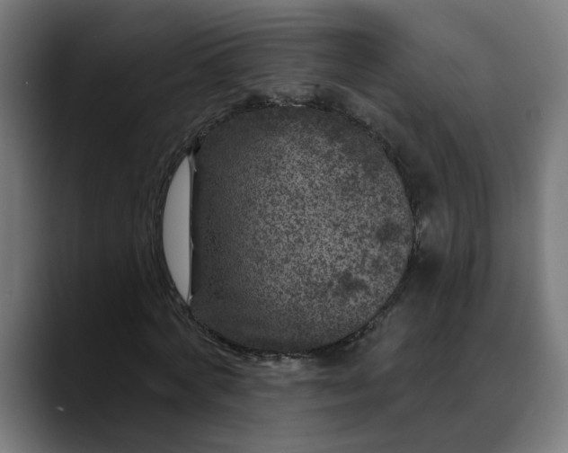 X0000089700772200707121353