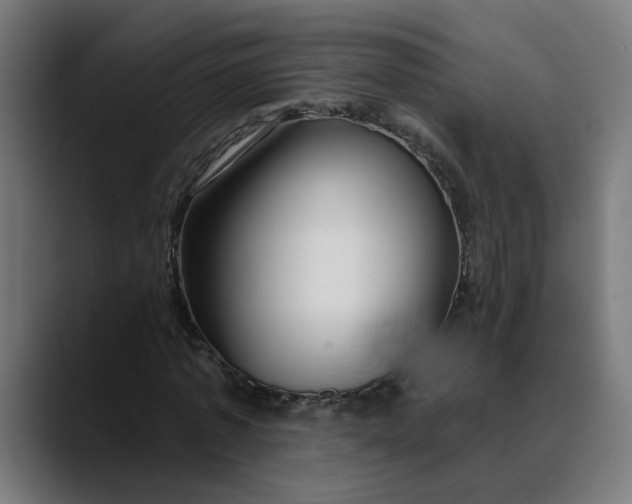 X0000089700773200707121353