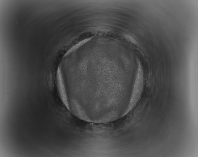 X0000089700774200707121353