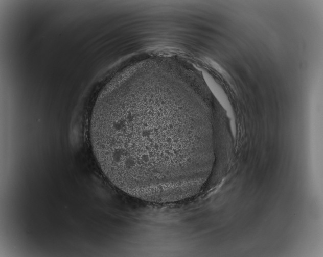 X0000089700775200707121353