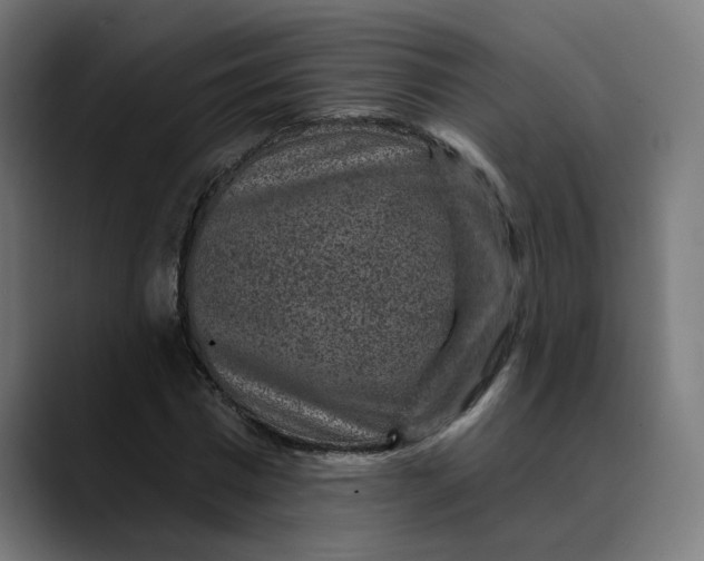 X0000089700777200707121353