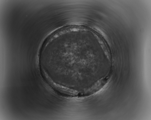 X0000089700779200707121353