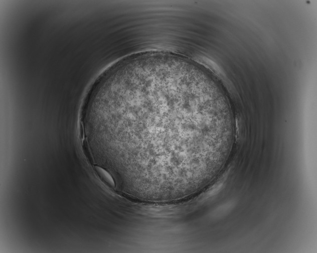 X0000089700780200707121353